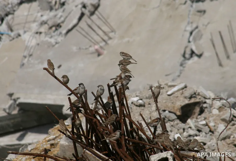 Biedes fly over the destroyed house in Jabalia Northern of Gaza Strip on February 18,2009, APAIMAGES PHOTO / Ashraf Amra