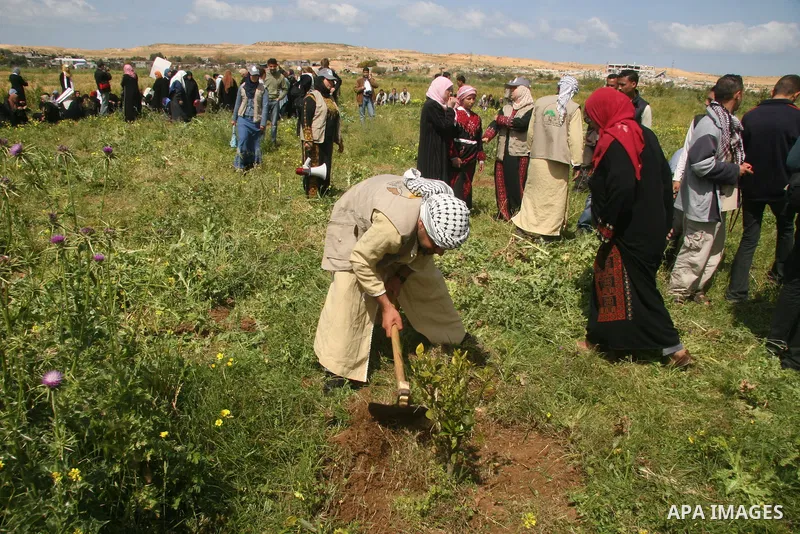 Palestinians take part in a protest to mark the Land Day near the Erez border crossing in northern Gaza Strip on March 30, 2009. The Land Day is an annual occasion marking Arabs' struggle for land. The first Land Day was...