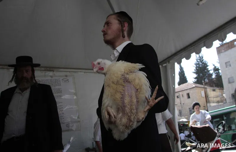 Ultra-Orthodox Jewish during watching as blood is drained from a slaughtered chicken during Kaparot in Jerusalem's Mea Shearim neighbourhood. Photo by Mohamar Awad