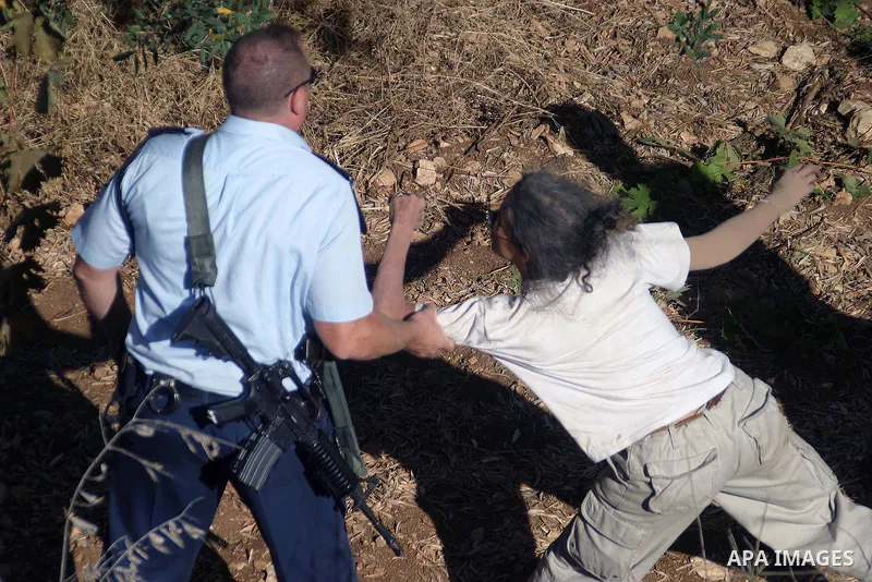 Israeli soldier argue with a palestinian, Israeli and international activists help Palestinian farmers to pick olives near the village of Safa near the West Bank city of Hebron on October 22, 2009. Farmers across the Pal...