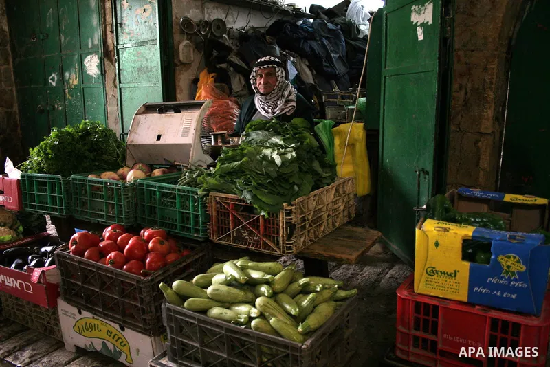 A Palestinian man sits in his shop in the market in the old city of West Bank city of Hebron January 25, 2010. Photo by Najeh Hashlamoun