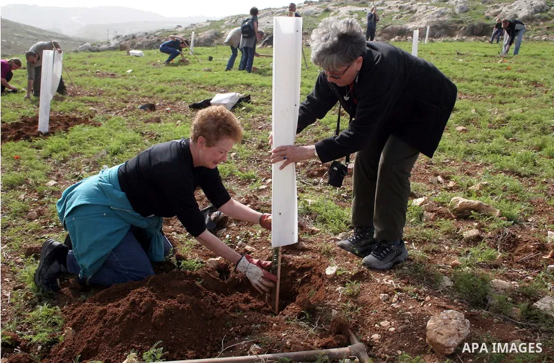 Israeli and foreign peace activists help Palestinian farmers to cultivate their land near a former military camp of the Israeli army on the edge of Beit Sahour city near the West Bank city of Bethlehem, February12, 2010....