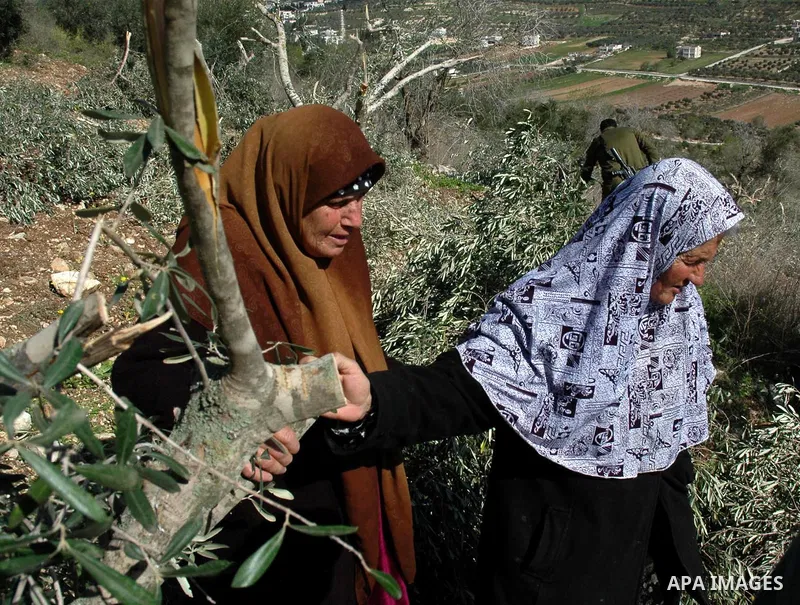 Palestinian farmers react at their farm after allegedly Jewish settlers cut down their olive trees in the village of Burin, near the settlement of Yitzhar, in the northern West Bank on February 23, 2010. Hardline settler...