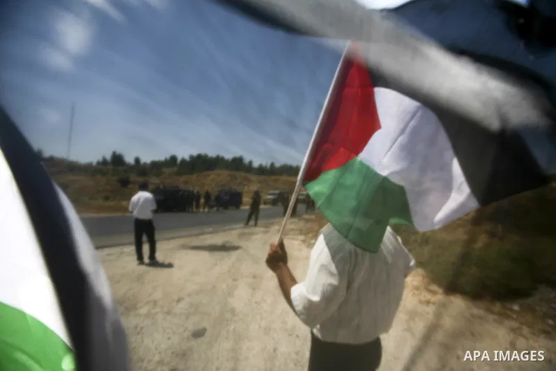 Palestinian protesters from the village of Bet In, north of Ramallah hold up their national flag during protest against Israeli occupation on June 18, 2010 near the Jewish settlement of Beit El. Photo by Eyad Jadallah