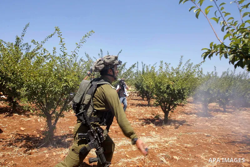 Israeli soldiers try to disperse foreign activists protesting against a nearby Israeli settlement near the West Bank village of Beit Omar July 17, 2010. Photo by Mamoun Wazwaz