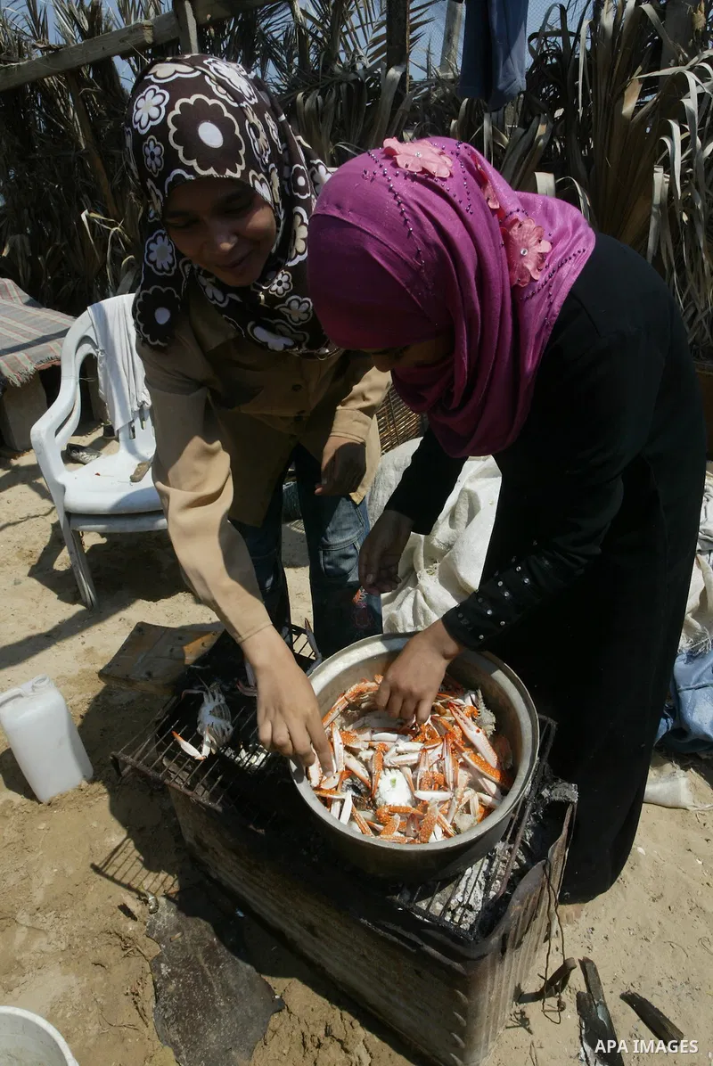 Madlin, her brother Kayed and sister Reem eat fish at a hut on the beach of Gaza City on July 25, 2010. Madlin is the first girl in the Gaza Strip to fish professionally in order to support her poor family. Photo by Ashr...