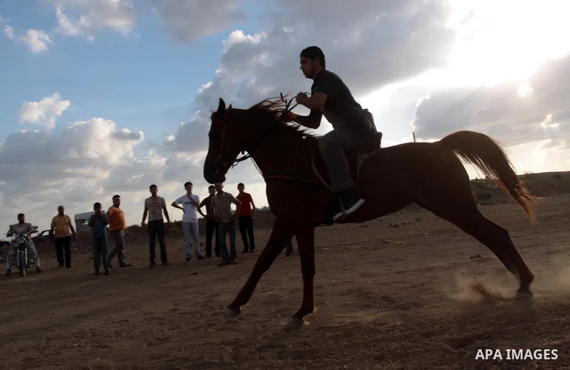 Palestinian jockeys demonstrate their skills as they ride their horses during a race in Gaza city on Sept. 17, 2010. Tens of Palestinians from all over the Gaza Strip gathered to follow the horse race on Friday in the ea...