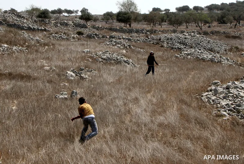 A Palestinian hurls stones at Israeli Jewish settlers during clashes between residents of the Israeli Bracha settlement and Palestinian farmers from the West Bank Burin village on September 21, 2010. The fight broke when...