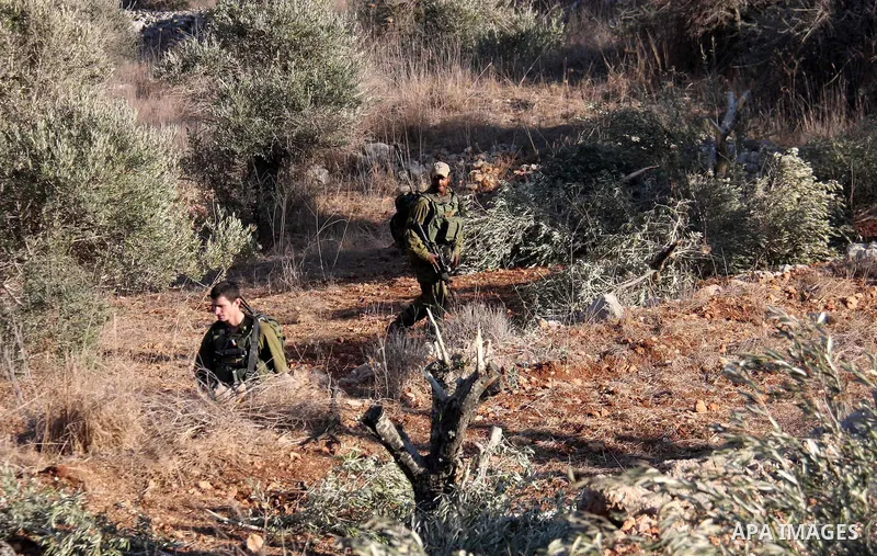 Palestinian farmers and Israeli soldiers inspect the olive trees which were cut overnight by Jewish settlers from the Israeli settlement of Yitzhar in the northern West Bank village of Hawara, near Nablus, Wednesday Oct....