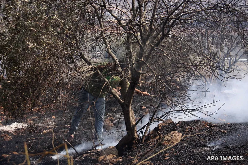 Palestinian farmers from the village of Hawara extinguish fire at their olives tree grove that was allegedly set ablaze by Jewish settlers from the nearby settlement of Yitzhar in the northern West Bank on October 7, 201...