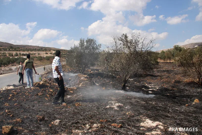 Palestinian farmers from the village of Hawara extinguish fire at their olives tree grove that was allegedly set ablaze by Jewish settlers from the nearby settlement of Yitzhar in the northern West Bank on October 7, 201...