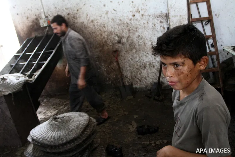 Palestinian men work in an olive oil factory during the olive harvest season , in Gaza City on October 9, 2010 . Palestinians began the annual harvest of olives, a staple for many local farmers that also use to make oliv...