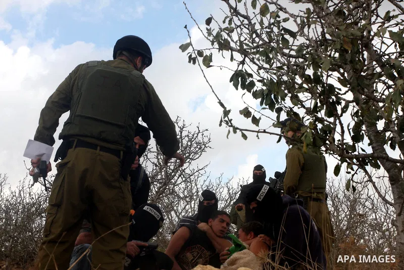 Israeli undercover forces arrest Palestinian boys during a demonstration by Palestinian, Israeli and foreign activists against the demolishing of farm land to be used in the construction of Jewish settlements near the ex...