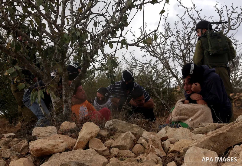Israeli undercover forces arrest Palestinian boys during a demonstration by Palestinian, Israeli and foreign activists against the demolishing of farm land to be used in the construction of Jewish settlements near the ex...