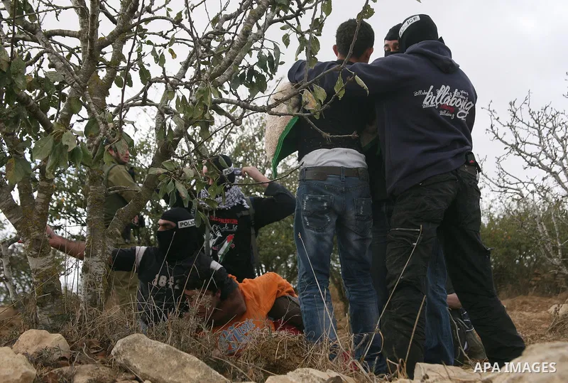 Israeli undercover forces arrest Palestinian boys during a demonstration by Palestinian, Israeli and foreign activists against the demolishing of farm land to be used in the construction of Jewish settlements near the ex...