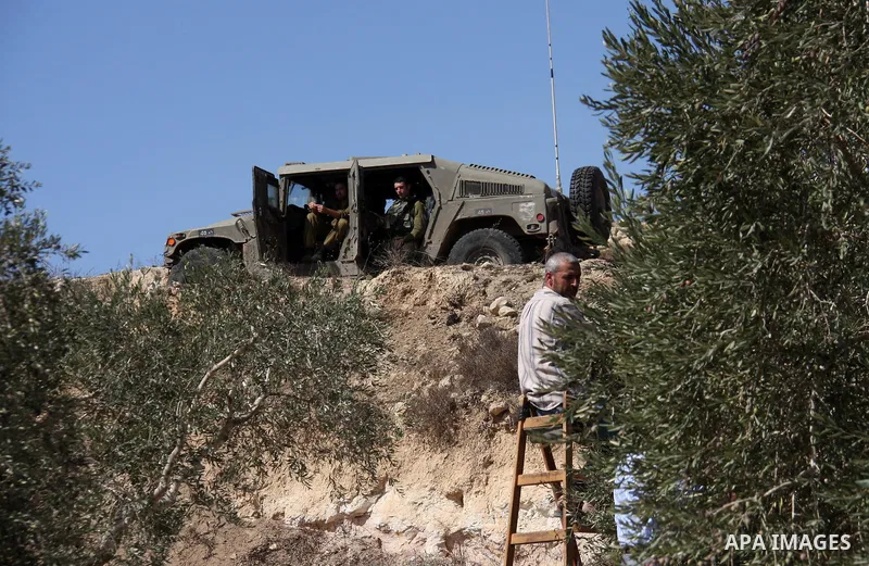 Israeli soldiers are seen near a Palestinian farmer as he picks olives in his agricultural fields in the West Bank village of Hawara, near Nablus on Oct. 10, 2010. Jewish settlers attacked Palestinian farmers during pick...