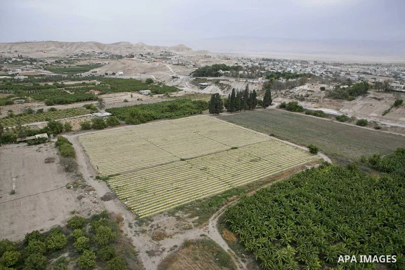 General view of Jericho , the southern side of the Jordan river near the Dead sea , in the West Bank of the Palestinian Territories , on Oct. 11.2010 . Jericho is one of the oldest continuously inhabited cities in the wo...