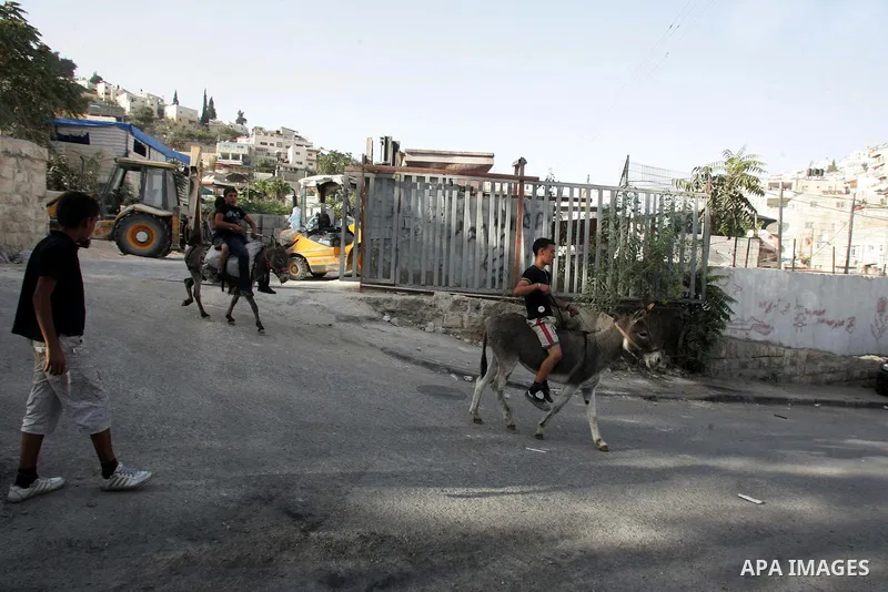 Palestinian children ride donkeys in the Arab east Jerusalem neighborhood of Silwan on Oct 14,2010. Palestinian children suffer from alot of attacks from Jewish settlers and Israeli soldiers as a Palestinian youth was ra...