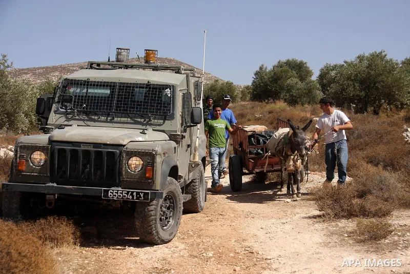 Israeli soldiers arrive to pacify the situation after Israeli settlers attacked Palestinian farmers while they collect Olive at Azmout village near the West Bank City of Nablus, 15 October 2010. Israeli settlers shoot in...