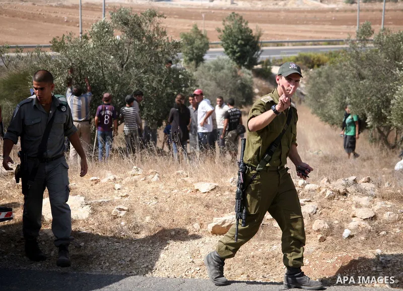 Israeli soldiers stand guard as Palestinians and International supporters harvest olives near the Jewish settlement of Otniel outside the West Bank city of Hebron on October ,19 2010. Photo by Najeh Hashlamoun