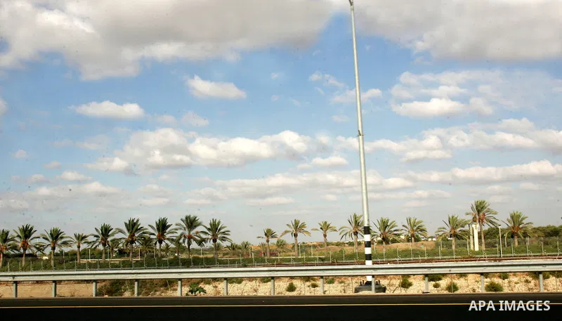 Palmtress are seen in the city of Alramla on Oct. 25, 2010. Photo by Mahfouz Abu Turk