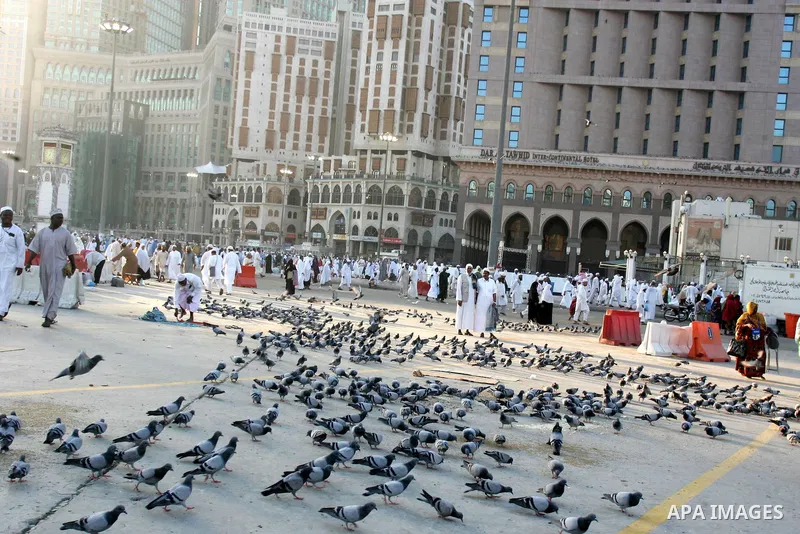Muslim pilgrim feed the doves outside the Grand Mosque during the annual Hajj in Mecca, Saudi Arabia, Nov 9, 2010. Some 2.5 million Muslims from more than 160 countries converge annually on the Islamic cities of Mecca an...