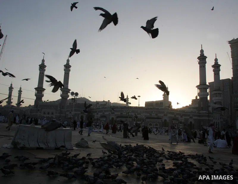 Muslim pilgrim feed the doves outside the Grand Mosque during the annual Hajj in Mecca, Saudi Arabia, Nov 10, 2010. Some 2.5 million Muslims from more than 160 countries converge annually on the Islamic cities of Mecca a...