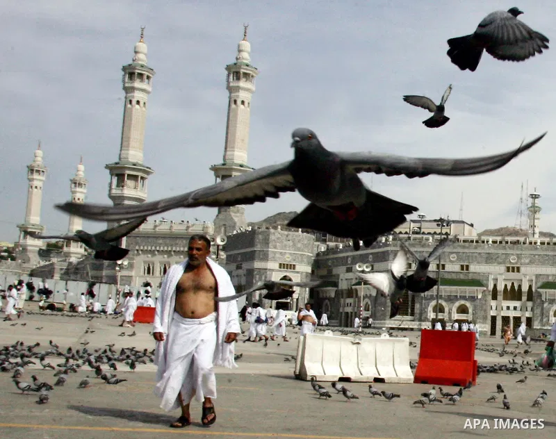 Muslim pilgrims walk outside the Grand Mosque during the annual Hajj in Mecca, Saudi Arabia, Nov 14, 2010. Some 2.5 million Muslims from more than 160 countries converge annually on the Islamic cities of Mecca and Medina...