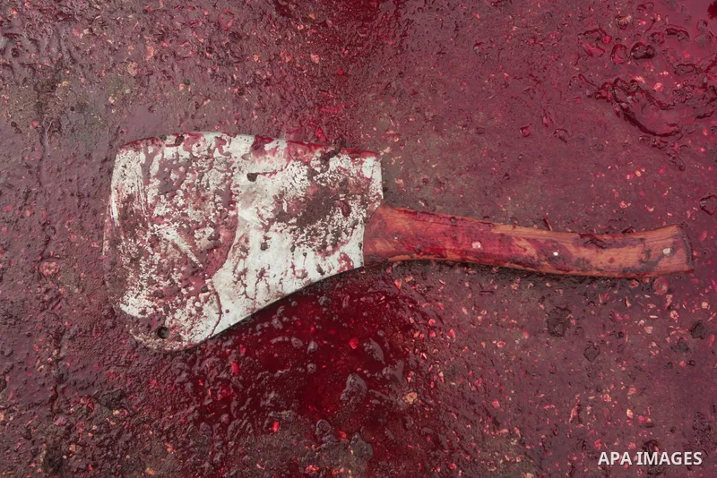 Palestinian butchers slaughter cows on the first day of Eid al-Adha in the southern Gaza Strip twon of Rafah, Tuesday, Nov. 16, 2010. Muslims worldwide celebrate Eid al-Adha, or the Feast of the Sacrifice on Nov. 16, by...