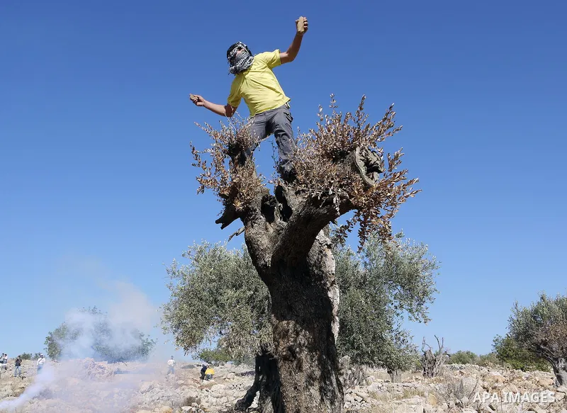 A Palestinian youth hurls stones at Israeli soldiers, not seen, during a weekly protest against Israel's separation barrier in the West Bank village of Nilin near Ramallah, Friday, Dec. 17, 2010. Israel says the barrier...