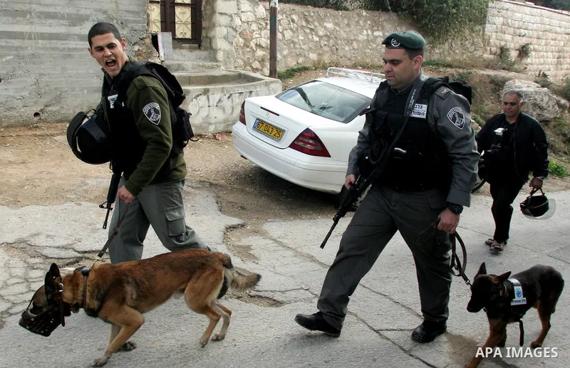 Israeli soldiers take position during a demolishing to horse stable for a Palestinian as Israeli army say that the stable was built without a construction permit, in the Arab Jerusalem neighborhood of Wadi al-Joz, on Jan...