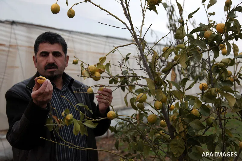 International academics visit Hashlamoun Organic Farm to see the suffering of the Palestinian farmers from the lack of water, in the Palestinian city of Hebron on January 11, 2011. Photo by Najeh Hashlamoun