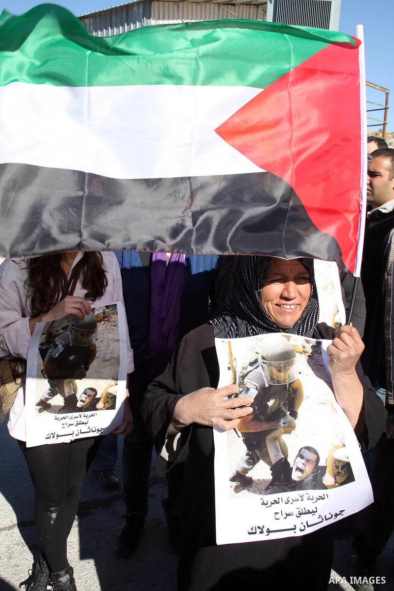 Palestinian, Israeli and foreign protesters take part in a demonstration against Israel's controversial separation barrier in the West Bank village of Maasarah, near Bethlehem, on January 21, 2011. Israel says the networ...