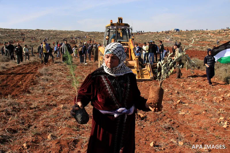 Palestinian farmers plant olive trees during a protest against the uprooting of trees belonging to Palestinians by Jewish settlers near settlement of Shelo in the West Bank village of Qosra near Nablus, 23 January 2011....