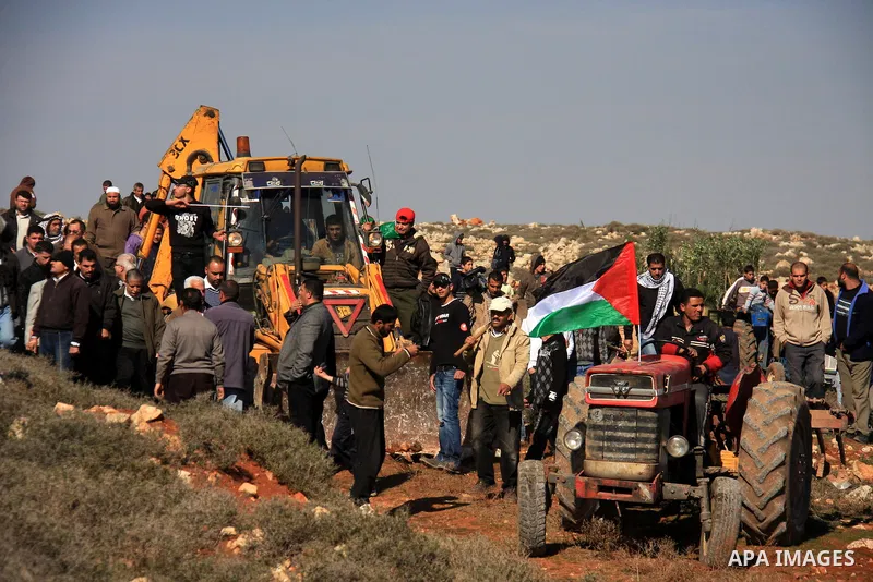 Palestinian farmers plant olive trees during a protest against the uprooting of trees belonging to Palestinians by Jewish settlers near settlement of Shelo in the West Bank village of Qosra near Nablus, 23 January 2011....
