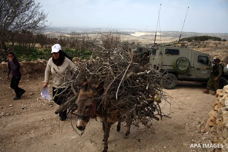 Israeli soldiers stand guard during a demonstration by Palestinian, Israeli and foreign activists against the demolishing of farm land to be used in the construction of Jewish settlements near the existing Israeli settle...