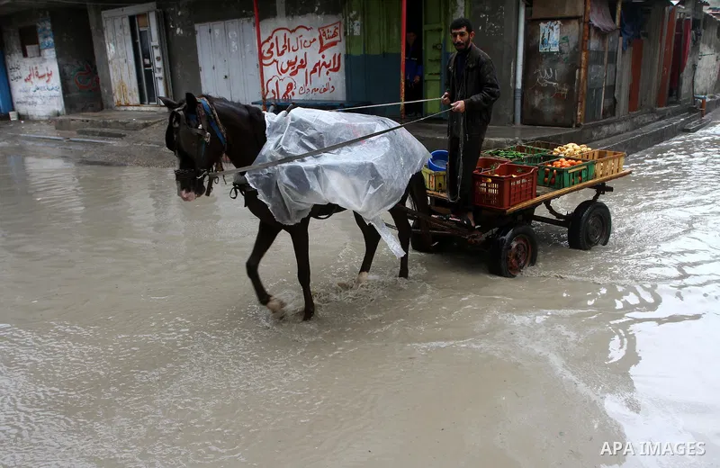 A Palestinian man rides his cart through a rain flooded street in Gaza City, Sunday, Jan. 30 , 2011. Photo by Ashraf Amra