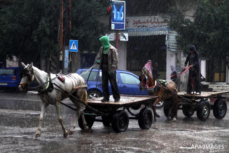 Palestinian youths ride their carts walk a rain flooded street in Gaza City, Sunday, Jan. 30 , 2011. Photo by Ashraf Amra
