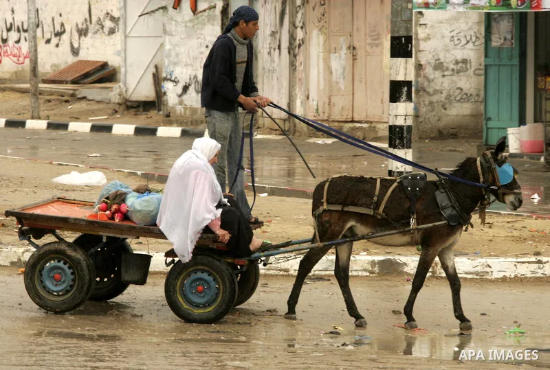 Palestinians ride their cart in a street during heavy rain in the southern Gaza Strip town of Rafah on Feb. 1, 2011. Photo by Abed Rahim Khatib