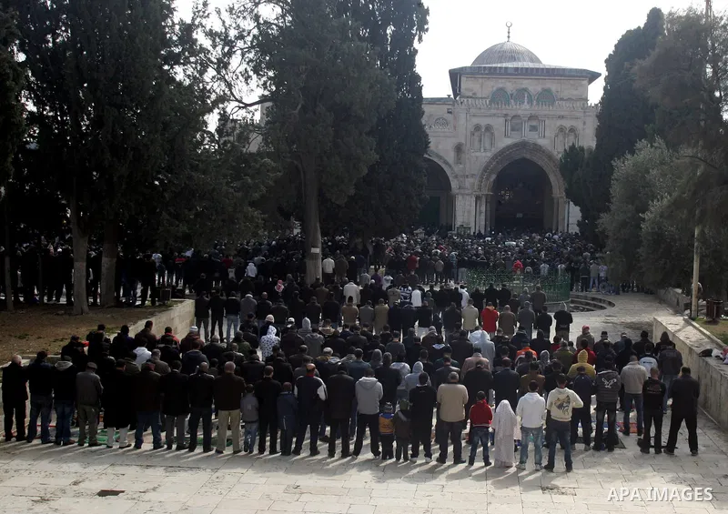 Palestinians attend Friday prayers at the Al-Aqsa Mosque compound in Jerusalem's Old City on February 11, 2011. Photo by Mahfouz Abu Turk