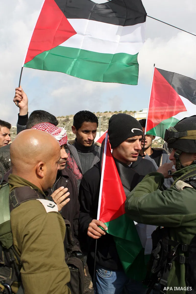Israeli soldiers restrain Palestinian ,Israeli and foreign protesters during a protest against Israel's controversial separation barrier in the West Bank village of Massarah,near the biblical town of Bethlehem, on Februa...