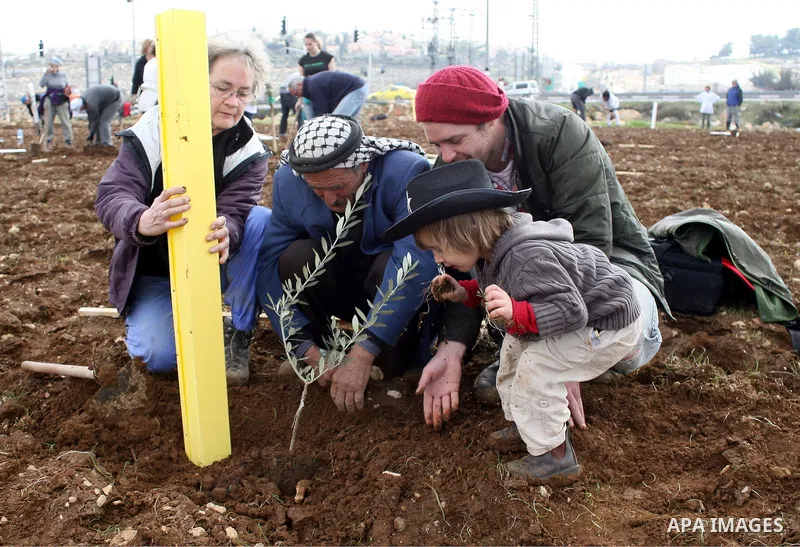 International activists help Palestinian farmers planting trees in the village of Umm Salamunah, near the Jewish settlement of Efrat, southern the West Bank city of Bethlehem on February 13, 2011. Photo by Najeh Hashlamo...
