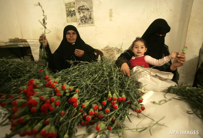 Palestinian farmers prepare flowers for export to the European countries at their flowers farm in Rafah in the southern Gaza Strip on February 14, 2011. Valentine's Day, celebrated on February 14, is named after the Chri...