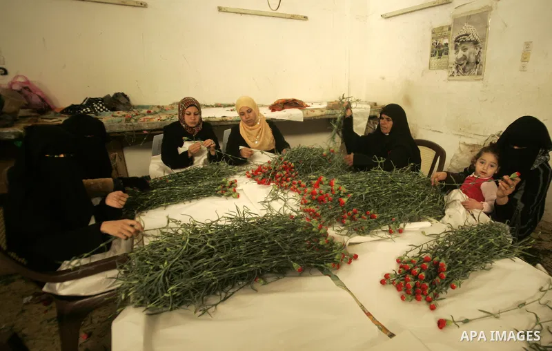 Palestinian farmers prepare flowers for export to the European countries at their flowers farm in Rafah in the southern Gaza Strip on February 14, 2011. Valentine's Day, celebrated on February 14, is named after the Chri...