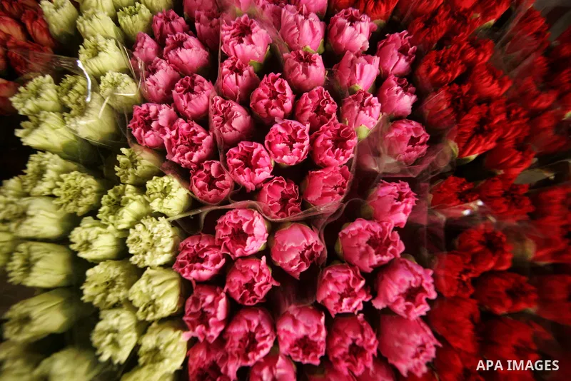 Palestinian farmers prepare flowers for export to the European countries at their flowers farm in Rafah in the southern Gaza Strip on February 14, 2011. Valentine's Day, celebrated on February 14, is named after the Chri...
