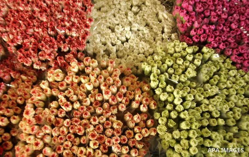 Palestinian farmers prepare flowers for export to the European countries at their flowers farm in Rafah in the southern Gaza Strip on February 14, 2011. Valentine's Day, celebrated on February 14, is named after the Chri...