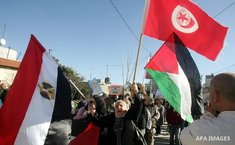 Palestinians, Israelis and foreign activists hold signs during a protest to show solidarity with Palestinian families against a Jewish settlement in the Sheikh Jarrah neighbourhood in East Jerusalem on Feb. 18, 2011. Pho...