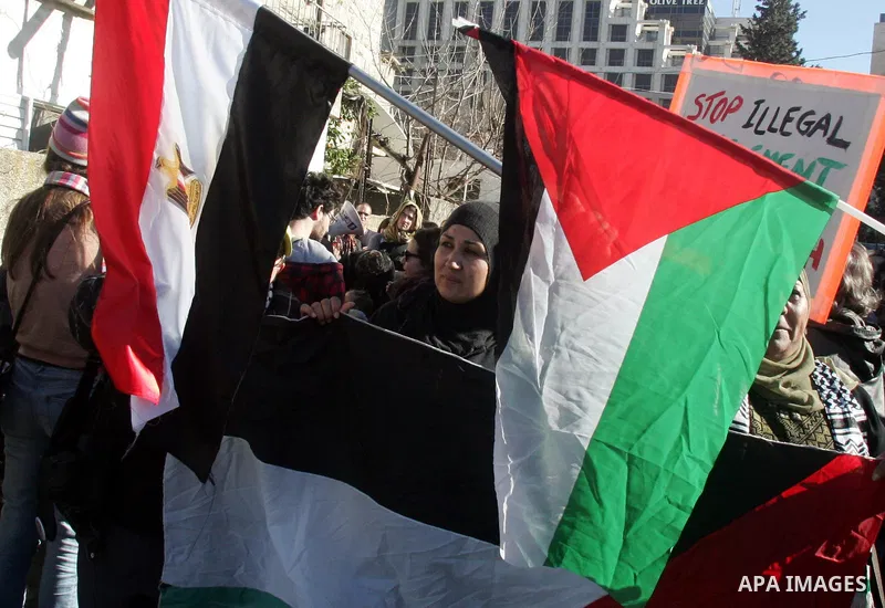 Palestinians, Israelis and foreign activists hold signs during a protest to show solidarity with Palestinian families against a Jewish settlement in the Sheikh Jarrah neighbourhood in East Jerusalem on Feb. 18, 2011. Pho...