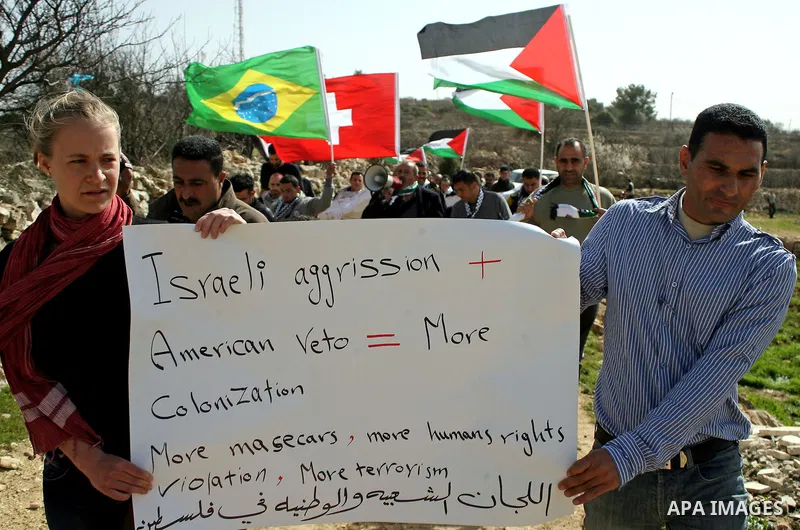 Palestinian, Israeli and foreign activists take part in a demonstration against the demolishing of farm land to be used in the construction of Jewish settlements near the existing Israeli settlement of Karmi Tsor near th...