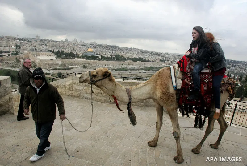 Foreign tourists ride a camel near the Dome of the Rock at the Al-Aqsa Mosque compound in Jerusalem on Feb. 21,2011. Photo by Mahfouz Abu Turk